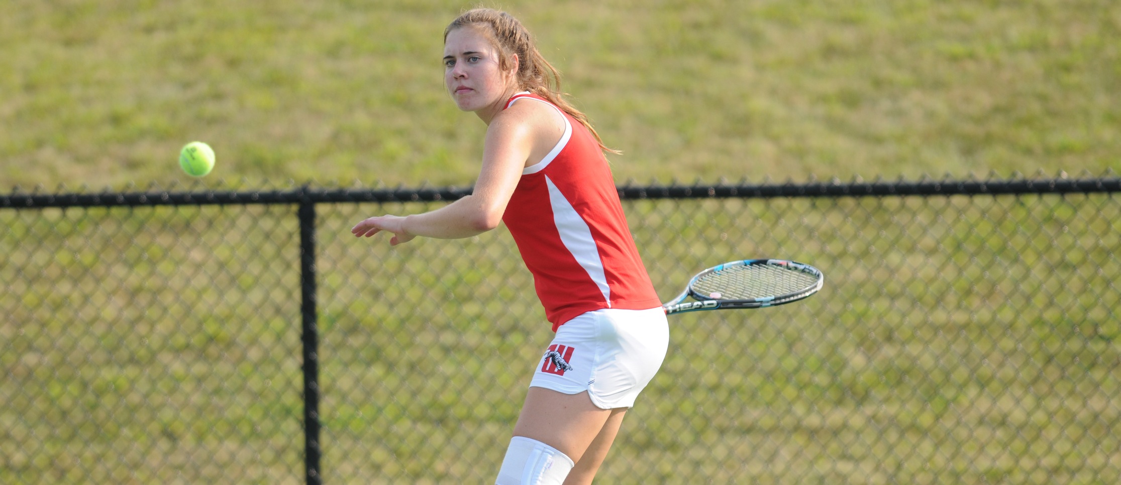 Tigers Fall to Gators 6-3 in NCAC Play