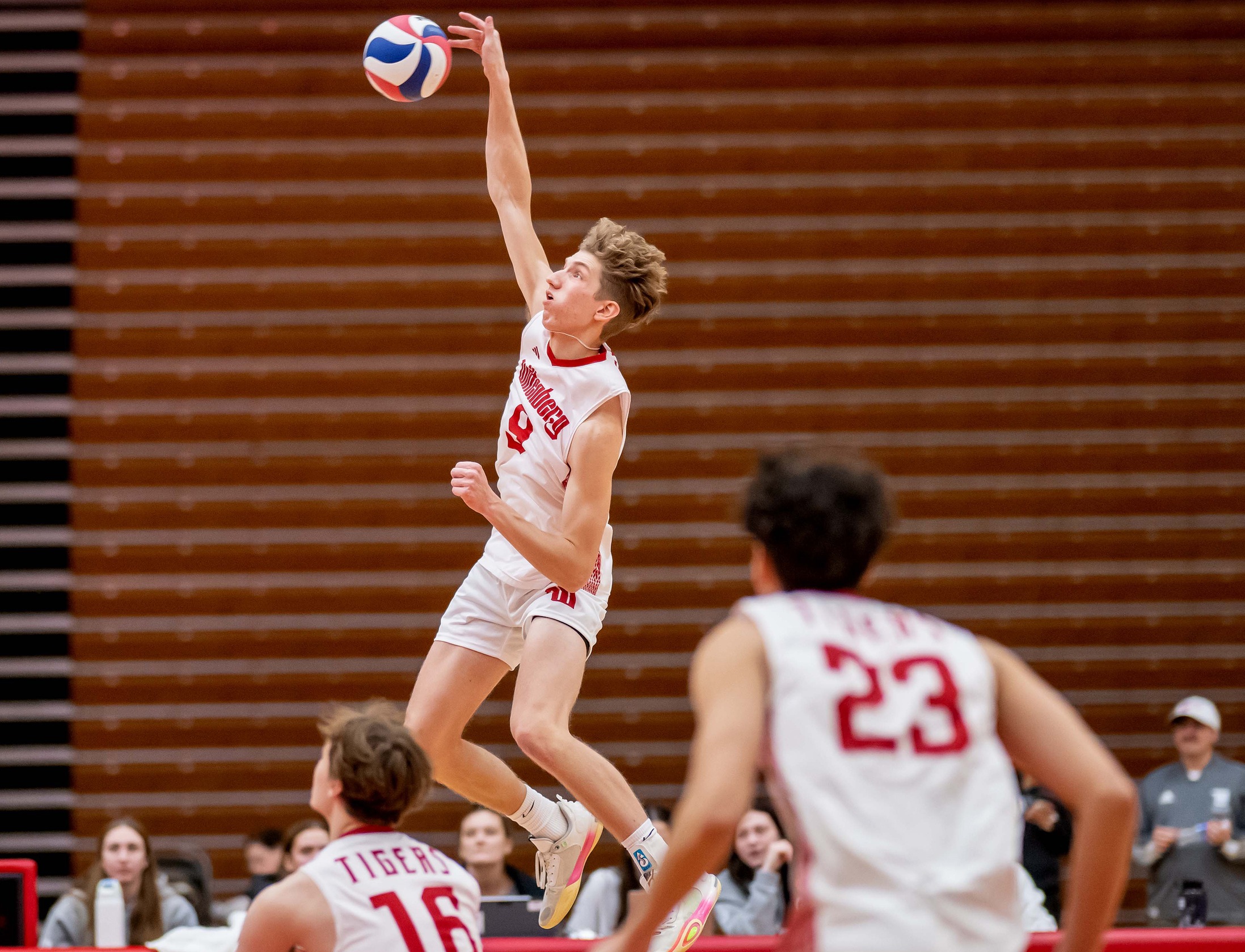 Sophomore Michael Yurk tied for the team lead with 16 kills in the Tigers' 3-1 loss to No. 17 Benedictine (Ill.) on Friday night. | Photo by John Coffman